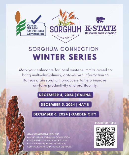 Sorghum Connections Winter Series