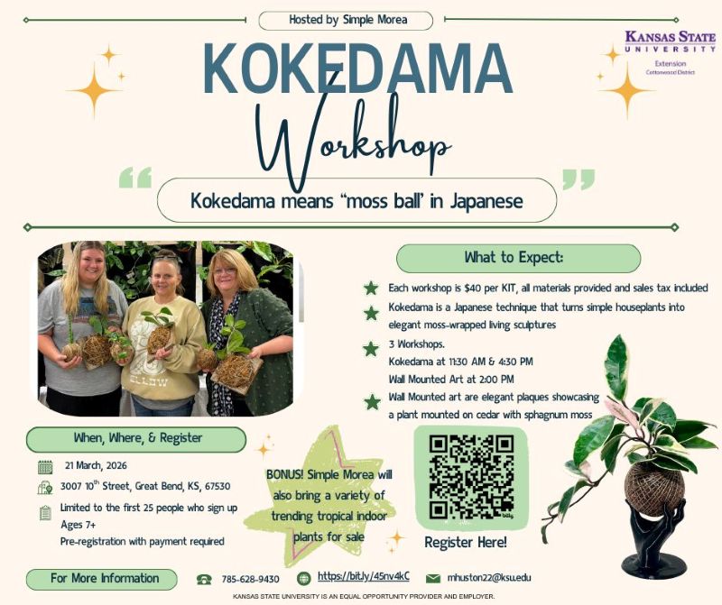 Kokadama in Great Bend