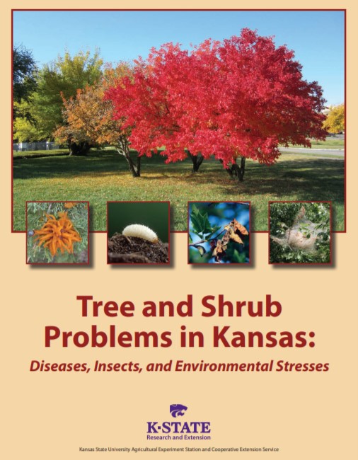 tree and shrub problems